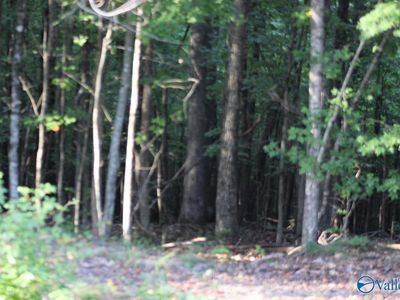 1805 County Road 103 Unit 47, Mentone, AL, 35984