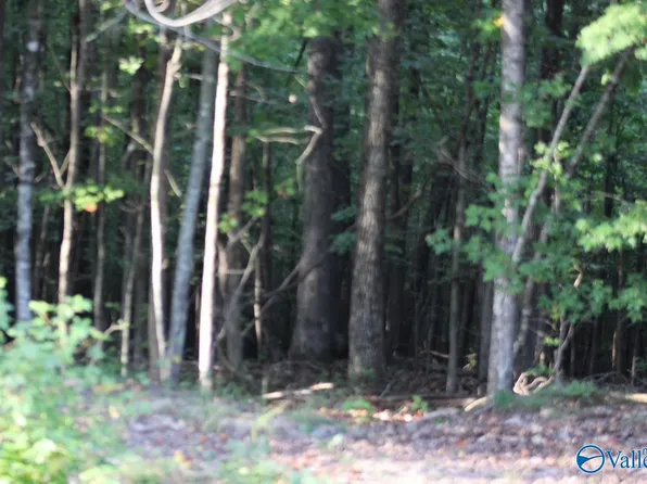 1805 County Road 103 Unit 47, Mentone, AL 35984