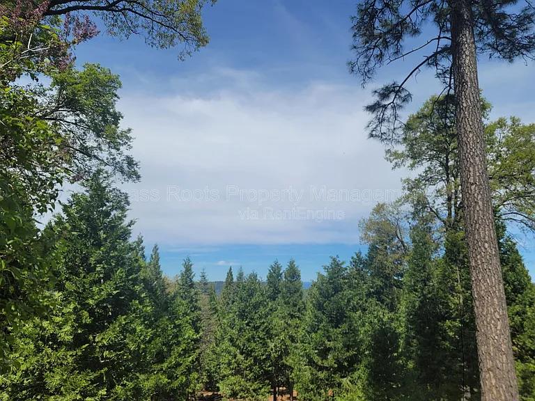 10712 Banner Lava Cap Rd — Photo 2
