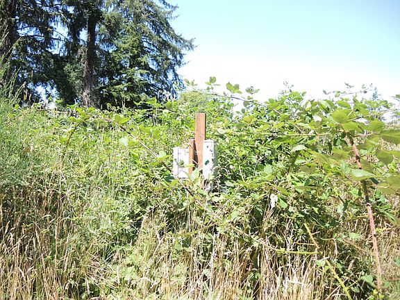 3rd image of 2801 NE Banner Trl