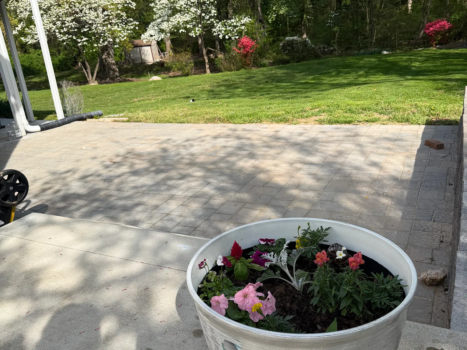 4 bed, $3,800 — Photo 3