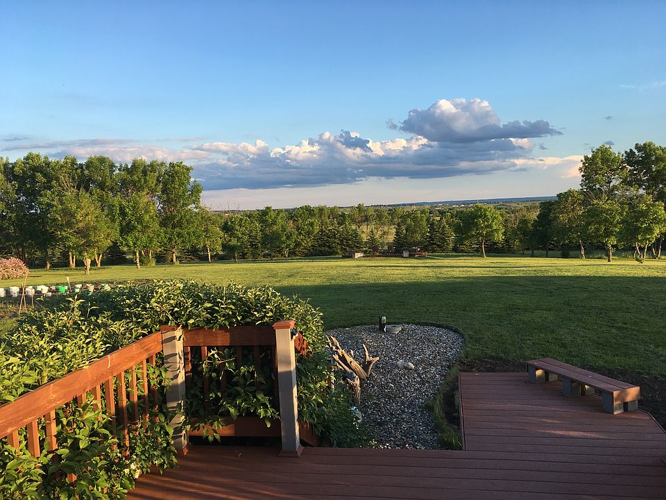 back yard view