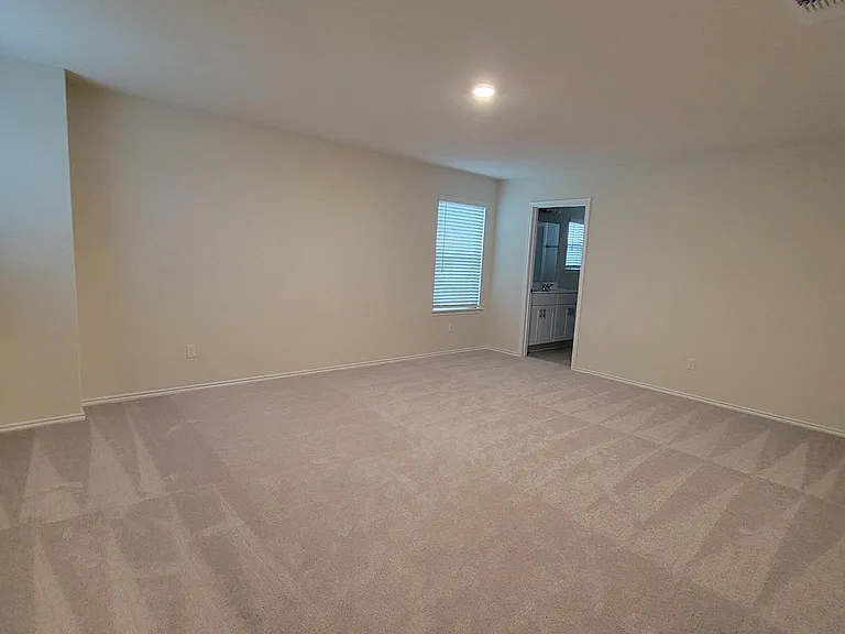 509 Black Alder St — Photo 16
