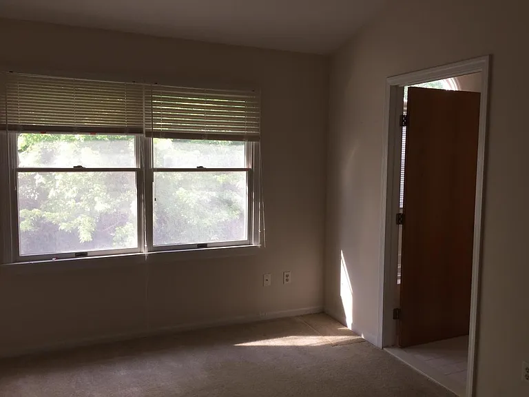 3217 Pinebluff Ct — Photo 20