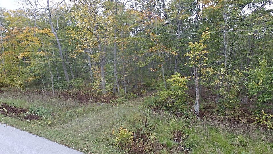 2nd image of 0 Maple St