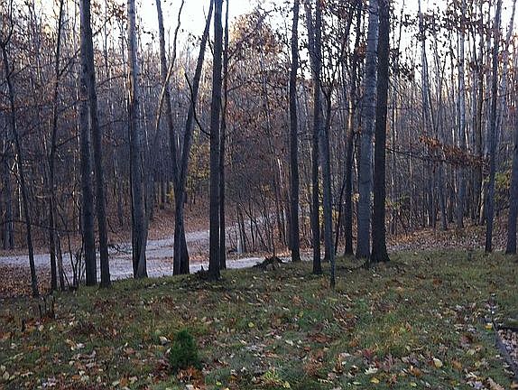 3rd image of 12201 Trail Creek Dr