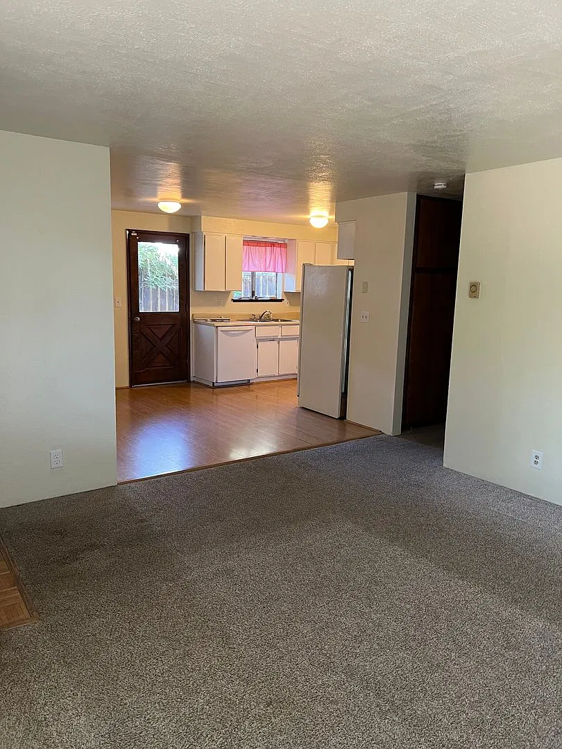 Lovely 3 bedroom 1 bath with a yard, garage & washer/dryer hookups — Photo 3