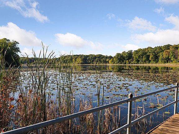 3rd image of 2584 Saunders Lake Dr N