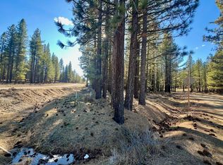 71849 Carrie Court Trl, Delleker, CA 96122