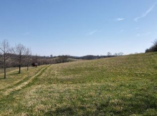 2318 Holston View Rd, New Market, TN 37820