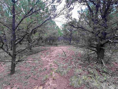 Canyon Dr, Ridgway, CO, 81432