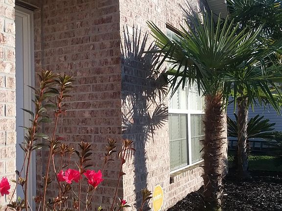 2nd image of 11872 Summerhaven Cir