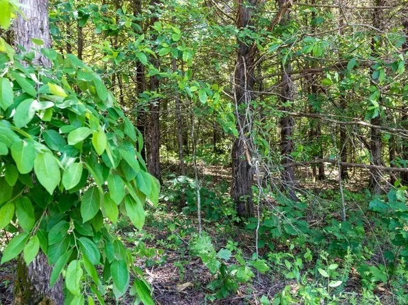 0 View Point Dr, Bigelow, AR 72016