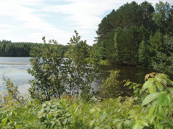 4th image of On Shady Knoll Rd