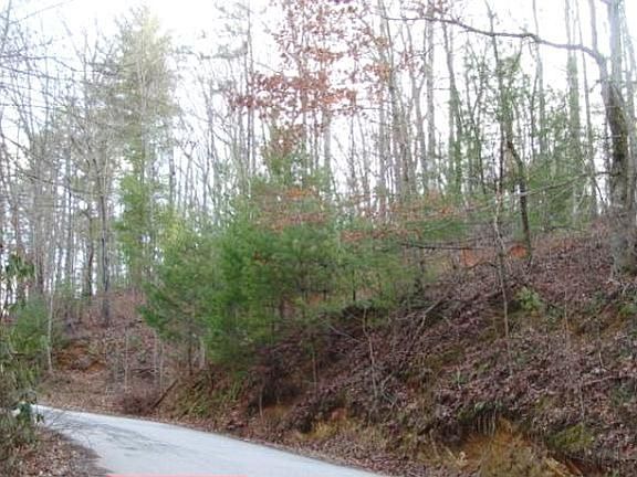 3rd image of 690 Covecrest Dr