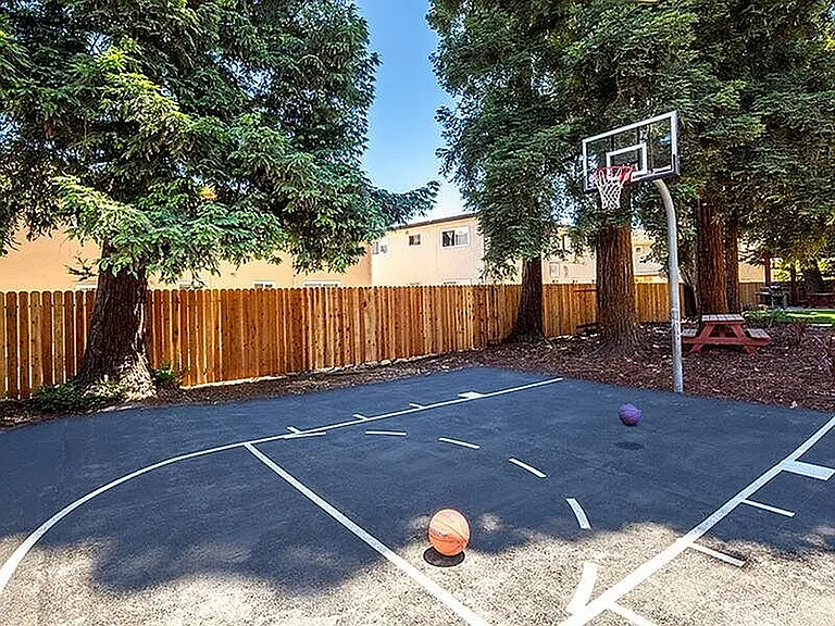 Basketball Court