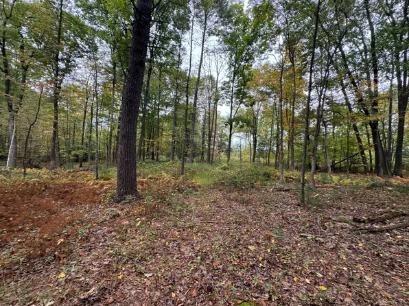 0 Rock Glen Rd, Sugarloaf, PA 18249