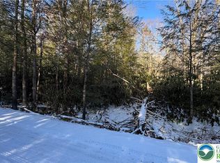 Driftwood Dr, Albrightsville, PA 18210