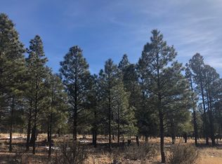 859 Kohners Ridge Dr, Happy Jack, AZ 86024