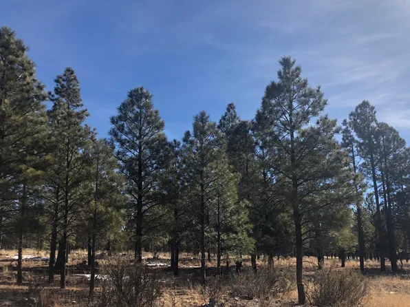 859 Kohners Ridge Dr, Happy Jack, AZ 86024