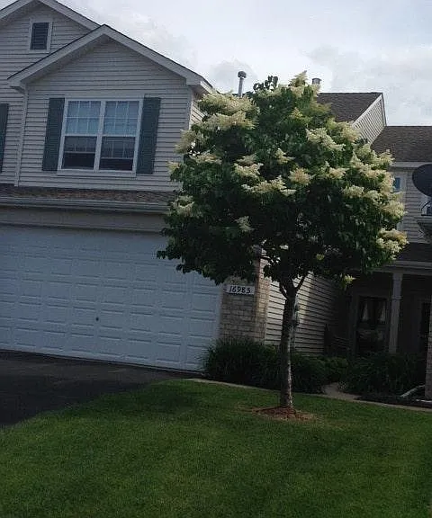16985 90th Ct N — Photo 1