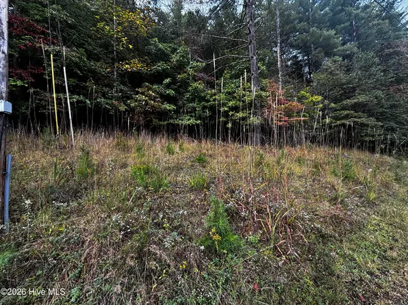 Lot 6 Joyce Road LOT 6, Murphy, NC 28906