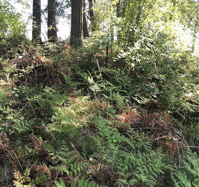 1st image of 3943 SE Camano Dr #Lot7