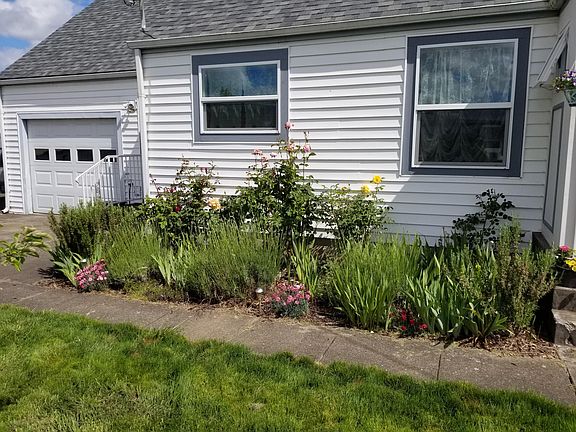 Front beds - Roses, Irises and Perennials.