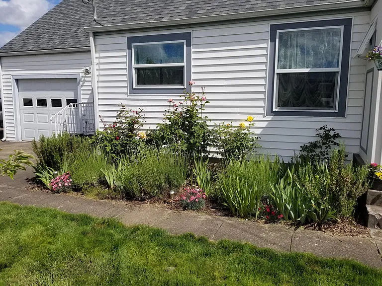 Front beds - Roses, Irises and Perennials.