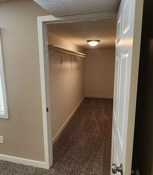 503 Amber Ln — Photo 19
