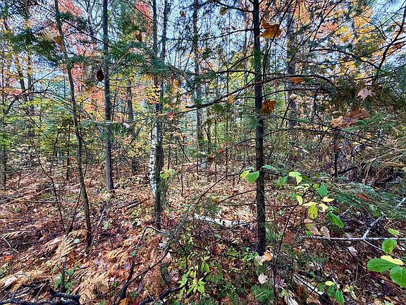 3rd image of 4962 Chamberlain Rd