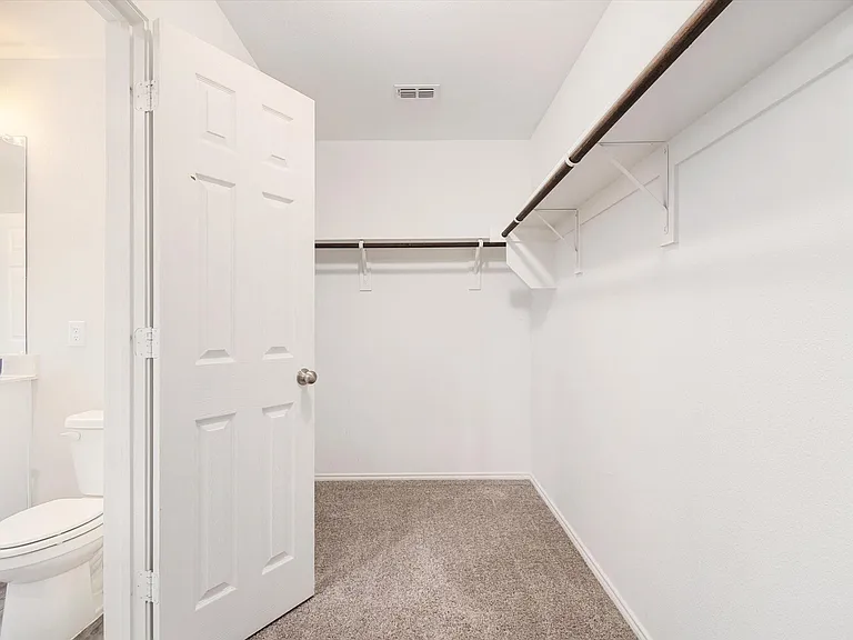 Walk-in closet with carpet flooring, white walls, and built-in clothes rods
