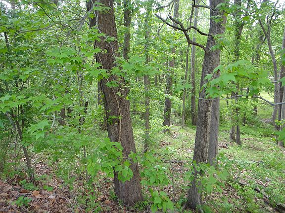 3rd image of John 700 Block St #A
