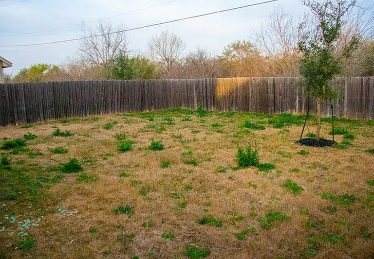 10406 Goose Way — Photo 9