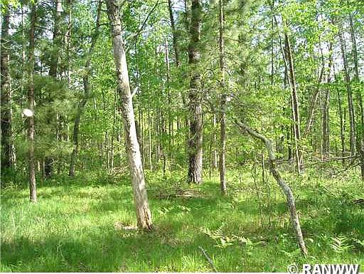 4th image of 0 Chickadee Lane