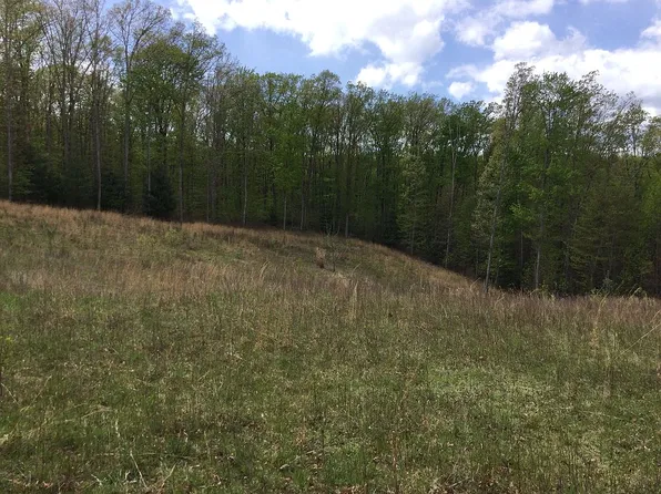 Jaybird Branch Rd, Coeburn, VA 24230