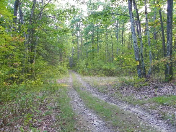 0 Hickory Hill Rd W #53, Bath, NY 14810