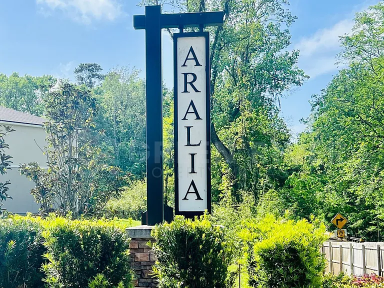 294 Aralia Ln — Photo 38