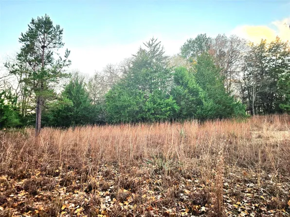 0 Mallard Way Lot 401, Larue, TX 75770