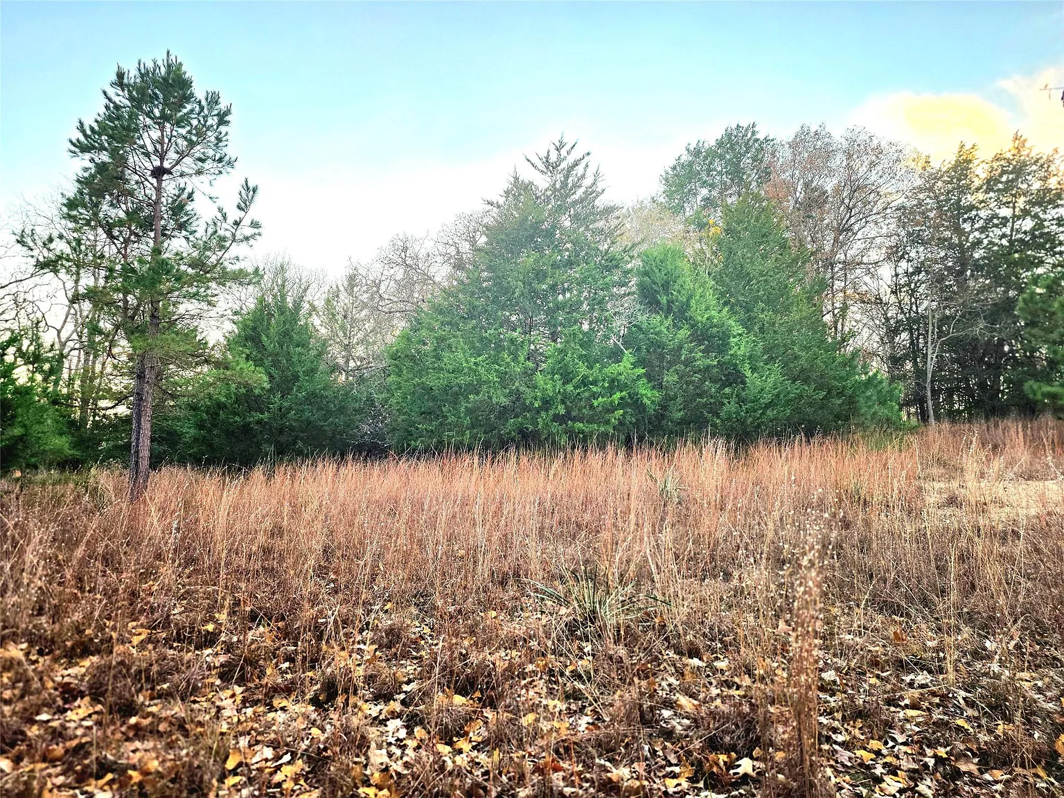 0 Mallard Way Lot 401 photo 1