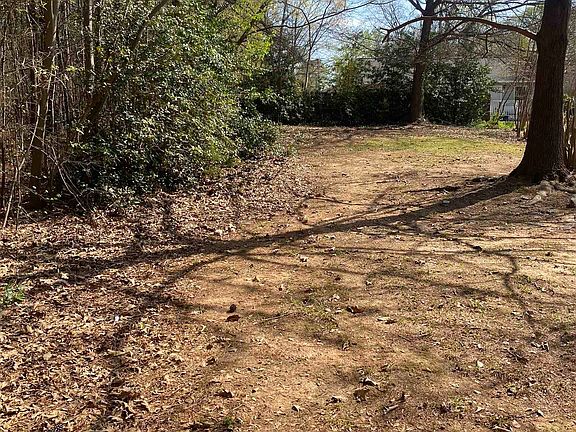 3rd image of 320 Tulip Poplar Ct