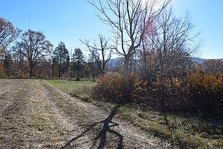 5th image of 4 N Cane Creek Road Lots 4 #&-5