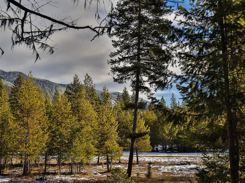 1st image of Nhn Graves Creek Loop