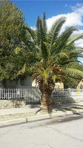 4023 Hueco Ave, El Paso, TX, 79903