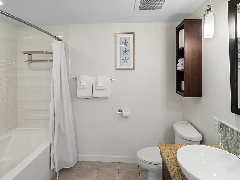 Guest bath shower & tub