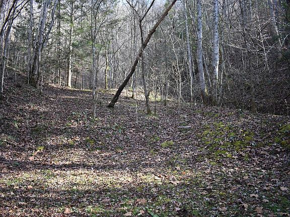 2nd image of 535 Crane Creek Rd