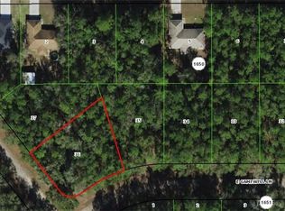 161 E Gamewell Ln, Citrus Springs, FL 34434