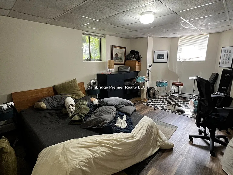 19 Cameron Ave #4 — Photo 18