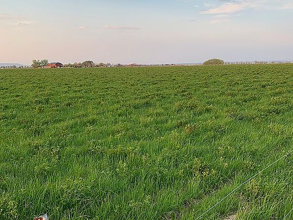 5th image of 1928 Ln 13 1/2