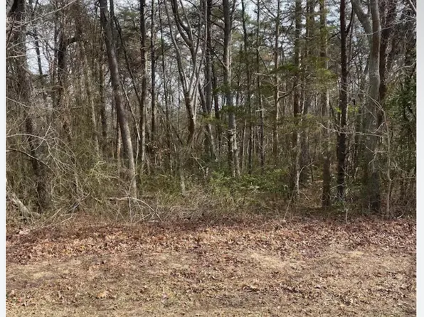 1561 W Gainsboro Ln, Citrus Springs, FL 34434